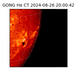 gong - 2024-08-26T20:00:42