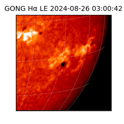 gong - 2024-08-26T03:00:42