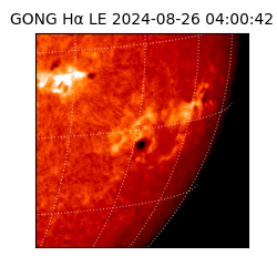 gong - 2024-08-26T04:00:42