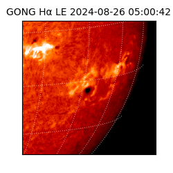 gong - 2024-08-26T05:00:42