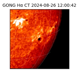 gong - 2024-08-26T12:00:42