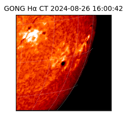 gong - 2024-08-26T16:00:42