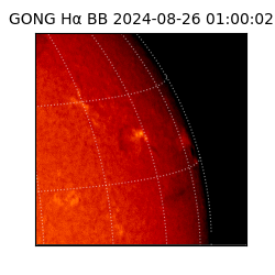 gong - 2024-08-26T01:00:02