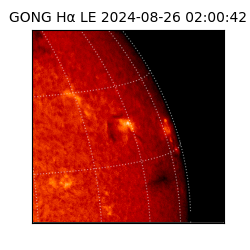 gong - 2024-08-26T02:00:42