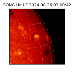 gong - 2024-08-26T03:00:42