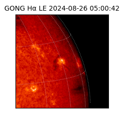 gong - 2024-08-26T05:00:42