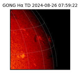 gong - 2024-08-26T07:59:22