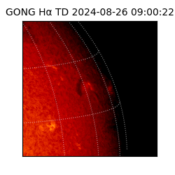 gong - 2024-08-26T09:00:22