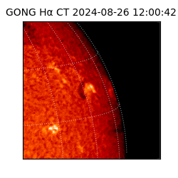 gong - 2024-08-26T12:00:42