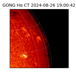 gong - 2024-08-26T19:00:42