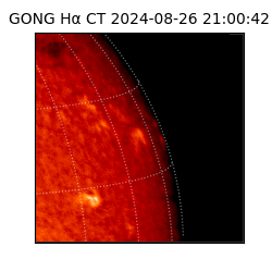 gong - 2024-08-26T21:00:42
