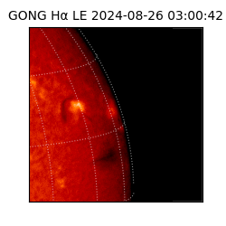 gong - 2024-08-26T03:00:42