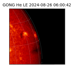 gong - 2024-08-26T06:00:42