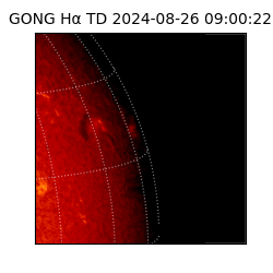 gong - 2024-08-26T09:00:22