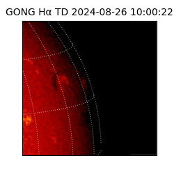 gong - 2024-08-26T10:00:22