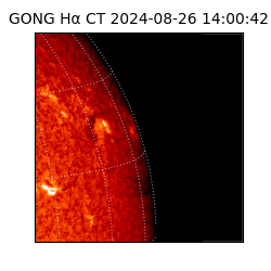 gong - 2024-08-26T14:00:42