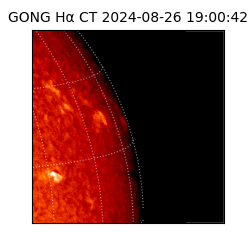 gong - 2024-08-26T19:00:42