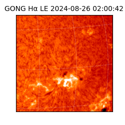 gong - 2024-08-26T02:00:42