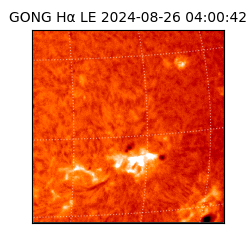 gong - 2024-08-26T04:00:42