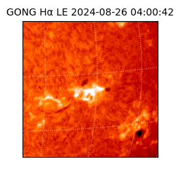 gong - 2024-08-26T04:00:42