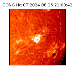 gong - 2024-08-26T21:00:42