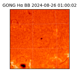 gong - 2024-08-26T01:00:02