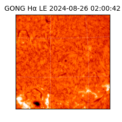 gong - 2024-08-26T02:00:42