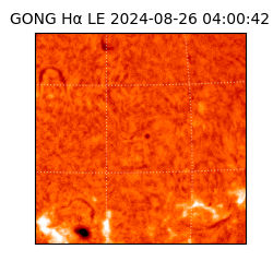 gong - 2024-08-26T04:00:42