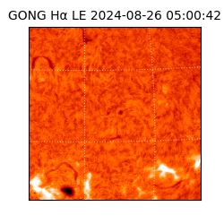 gong - 2024-08-26T05:00:42