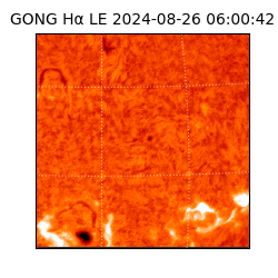 gong - 2024-08-26T06:00:42