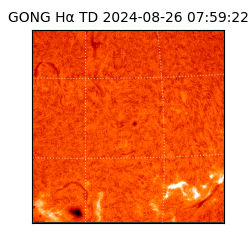 gong - 2024-08-26T07:59:22