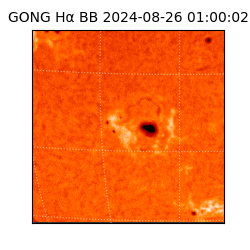 gong - 2024-08-26T01:00:02