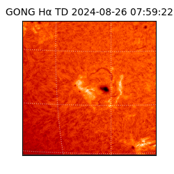 gong - 2024-08-26T07:59:22