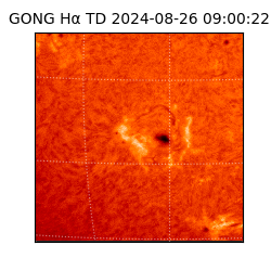 gong - 2024-08-26T09:00:22