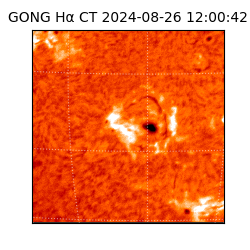 gong - 2024-08-26T12:00:42