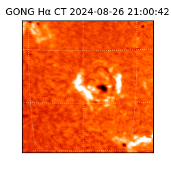 gong - 2024-08-26T21:00:42