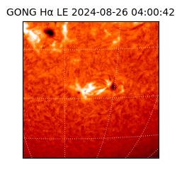 gong - 2024-08-26T04:00:42