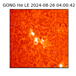 gong - 2024-08-26T04:00:42