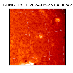 gong - 2024-08-26T04:00:42