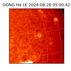 gong - 2024-08-26T05:00:42