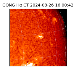 gong - 2024-08-26T16:00:42