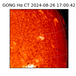 gong - 2024-08-26T17:00:42