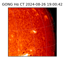 gong - 2024-08-26T19:00:42