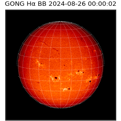 gong - 2024-08-26T00:00:02