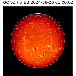 gong - 2024-08-26T01:00:02