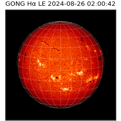gong - 2024-08-26T02:00:42