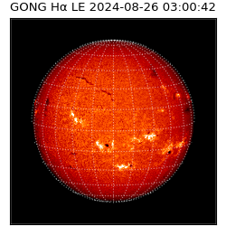 gong - 2024-08-26T03:00:42