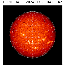 gong - 2024-08-26T04:00:42