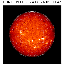 gong - 2024-08-26T05:00:42