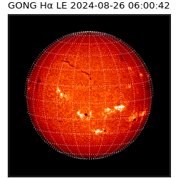 gong - 2024-08-26T06:00:42